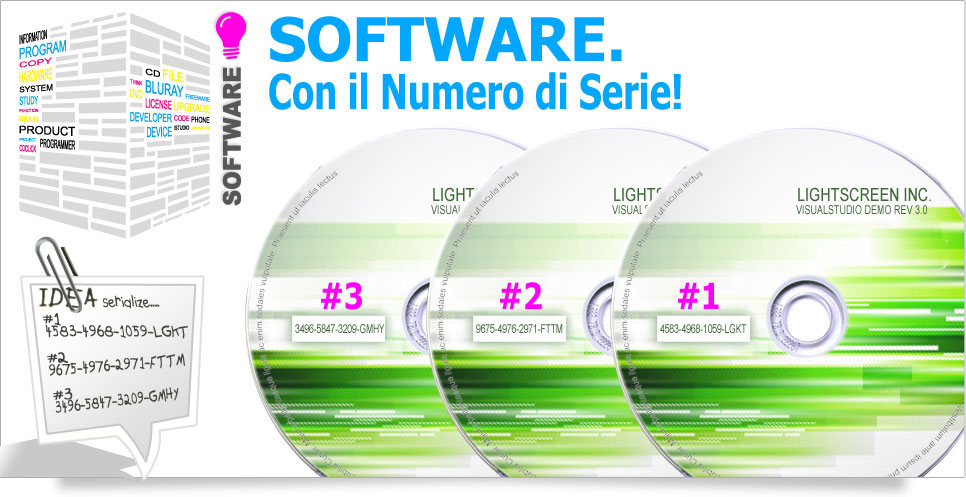 Software, Programma